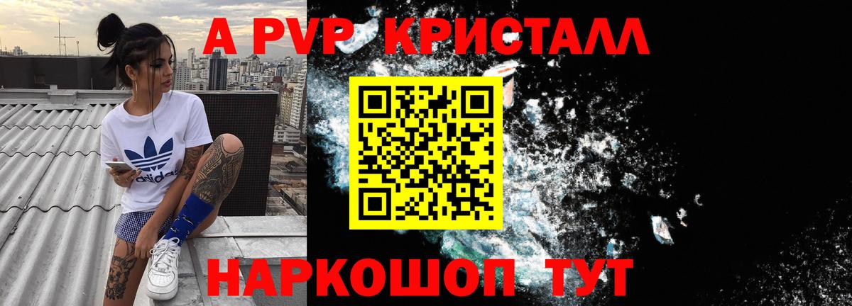 A PVP СК КРИС Новокубанск