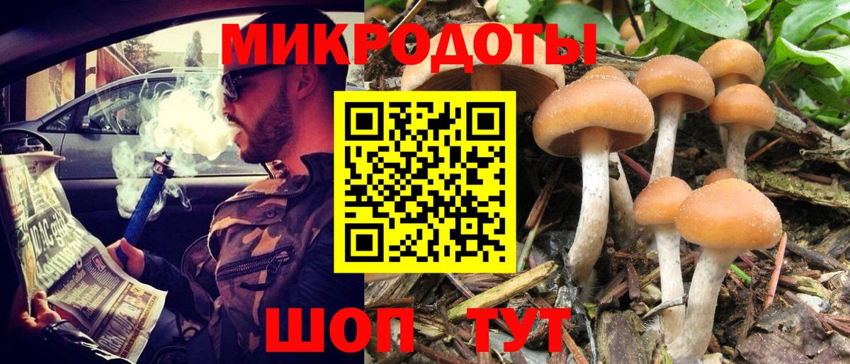 Новокубанск  Галлюциногенные грибы мухоморы  Галлюциногенные грибы GOLDEN TEACHER  Вход с VPN 