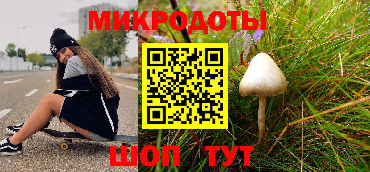 Псилоцибиновые грибы GOLDEN TEACHER Новокубанск