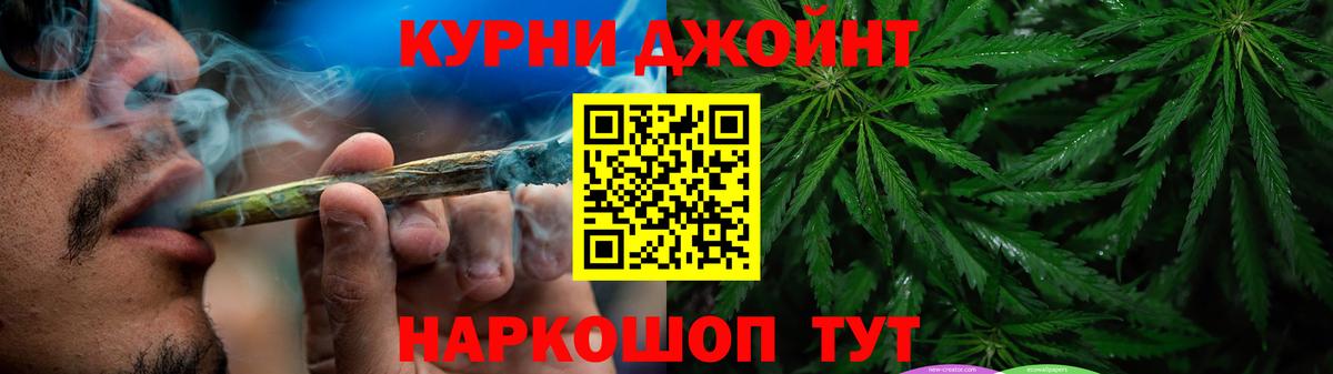 Каннабис семена Новокубанск